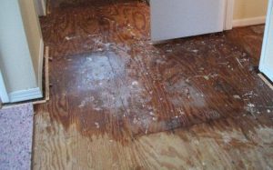 water-damage-claim-help-cary-nc