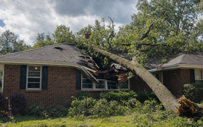 Tree Damages House Claim: If My Tree Falls On Neighbor’s House Who Is Responsible