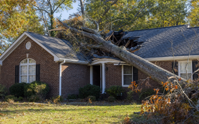 Tree Damage Insurance Claim Low? Hidden Roof Damage in NC
